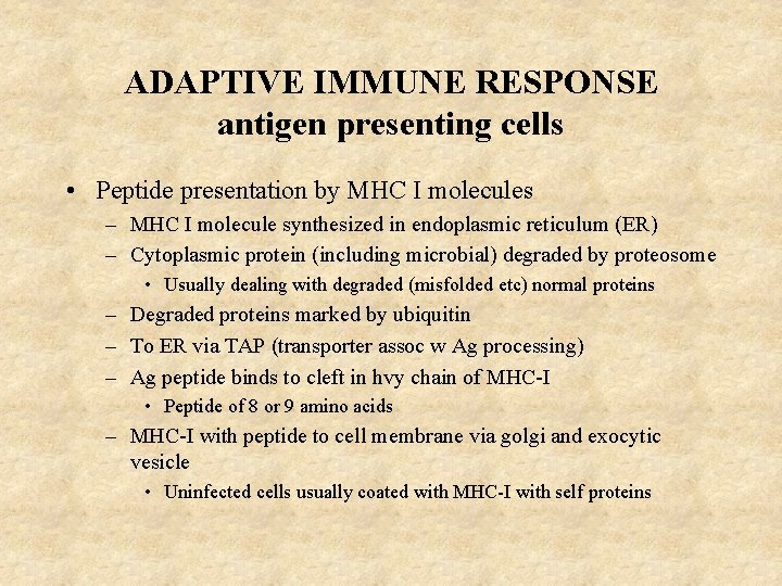 ADAPTIVE IMMUNE RESPONSE antigen presenting cells • Peptide presentation by MHC I molecules –