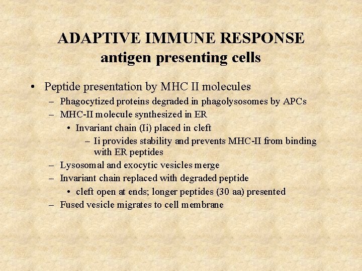 ADAPTIVE IMMUNE RESPONSE antigen presenting cells • Peptide presentation by MHC II molecules –