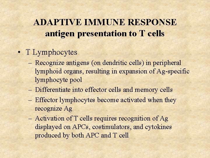 ADAPTIVE IMMUNE RESPONSE antigen presentation to T cells • T Lymphocytes – Recognize antigens