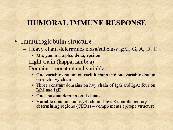 HUMORAL IMMUNE RESPONSE • Immunoglobulin structure – Heavy chain determines class/subclass Ig. M, G,