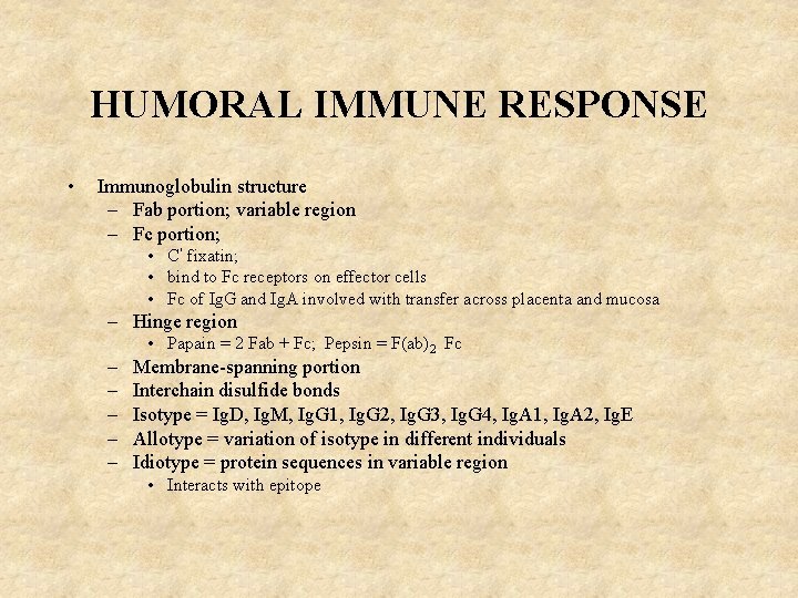 HUMORAL IMMUNE RESPONSE • Immunoglobulin structure – Fab portion; variable region – Fc portion;