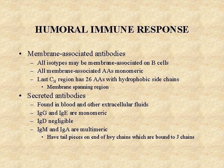 HUMORAL IMMUNE RESPONSE • Membrane-associated antibodies – All isotypes may be membrane-associated on B