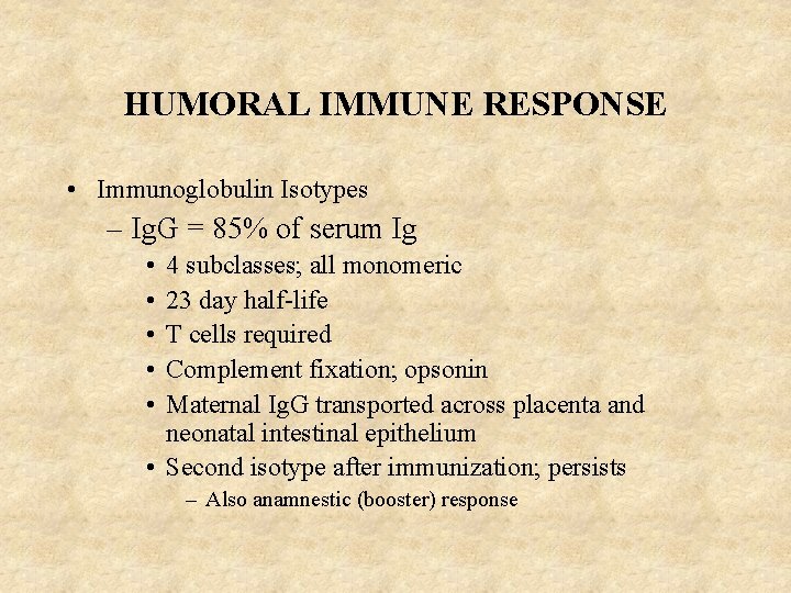 HUMORAL IMMUNE RESPONSE • Immunoglobulin Isotypes – Ig. G = 85% of serum Ig