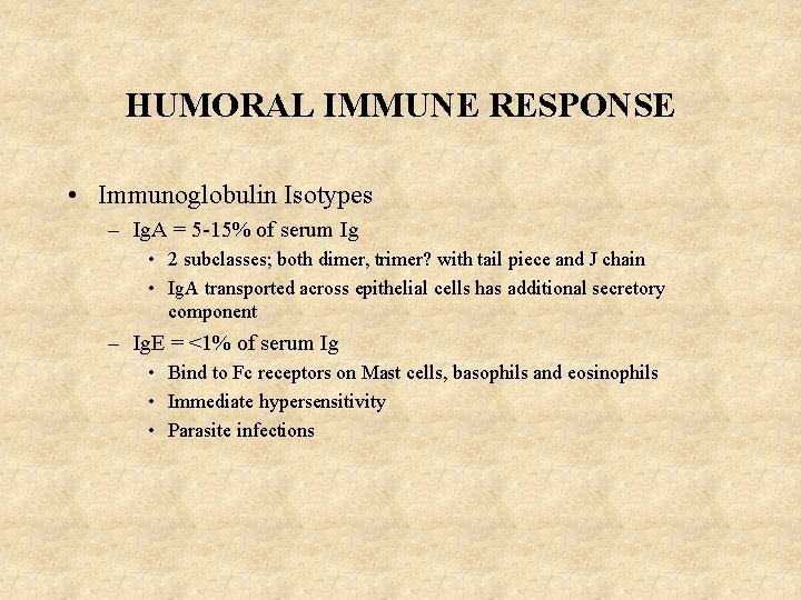 HUMORAL IMMUNE RESPONSE • Immunoglobulin Isotypes – Ig. A = 5 -15% of serum