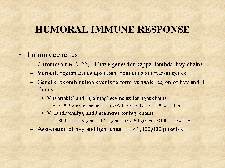 HUMORAL IMMUNE RESPONSE • Immunogenetics – Chromosomes 2, 22, 14 have genes for kappa,