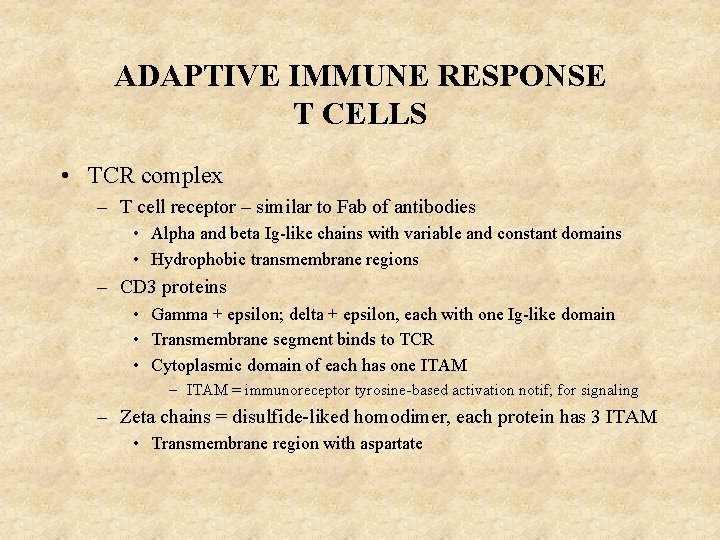 ADAPTIVE IMMUNE RESPONSE T CELLS • TCR complex – T cell receptor – similar