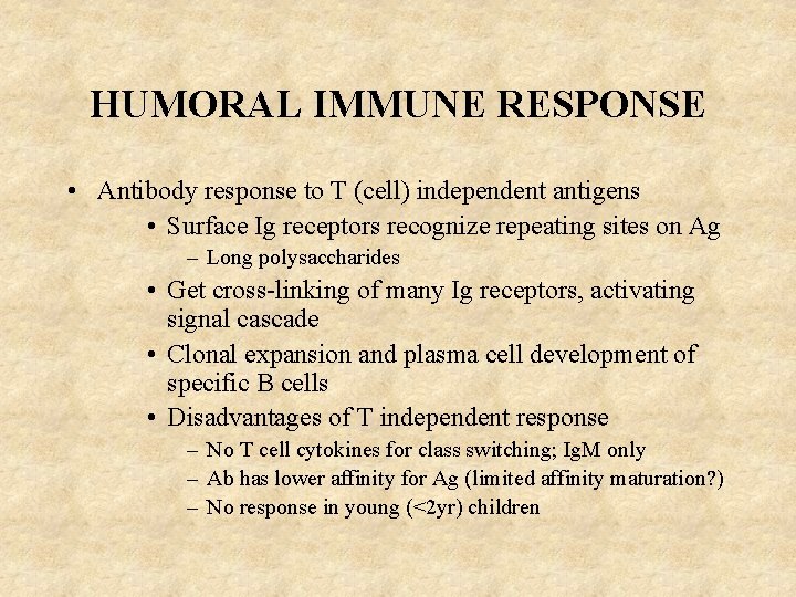 HUMORAL IMMUNE RESPONSE • Antibody response to T (cell) independent antigens • Surface Ig