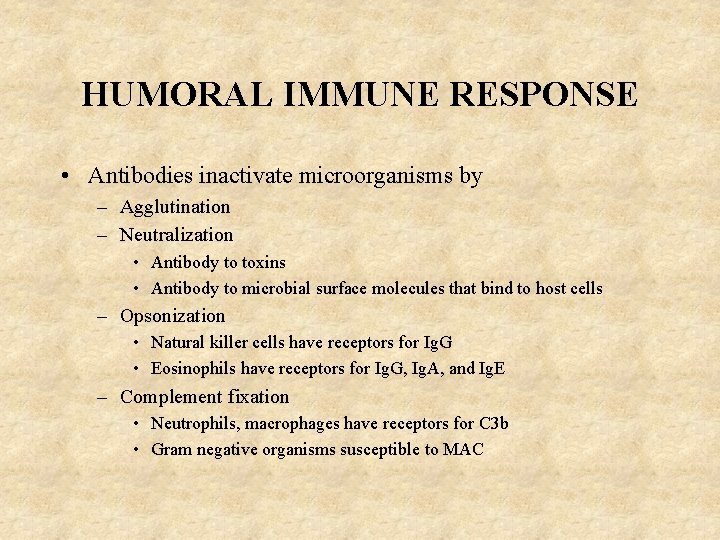 HUMORAL IMMUNE RESPONSE • Antibodies inactivate microorganisms by – Agglutination – Neutralization • Antibody