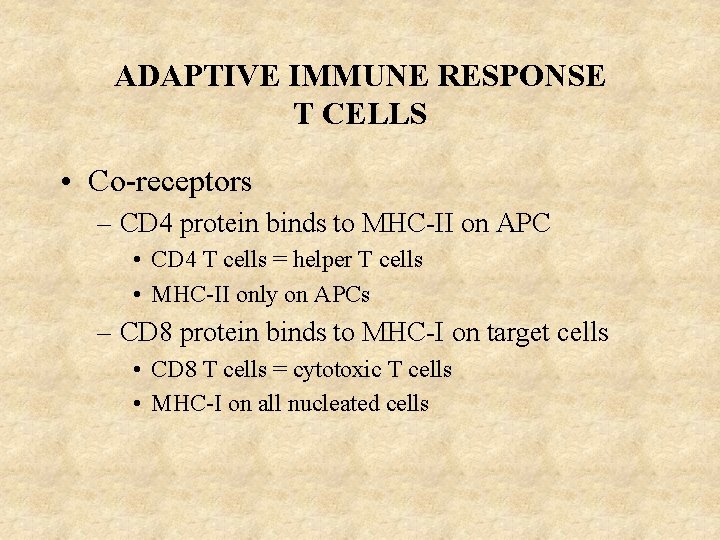 ADAPTIVE IMMUNE RESPONSE T CELLS • Co-receptors – CD 4 protein binds to MHC-II
