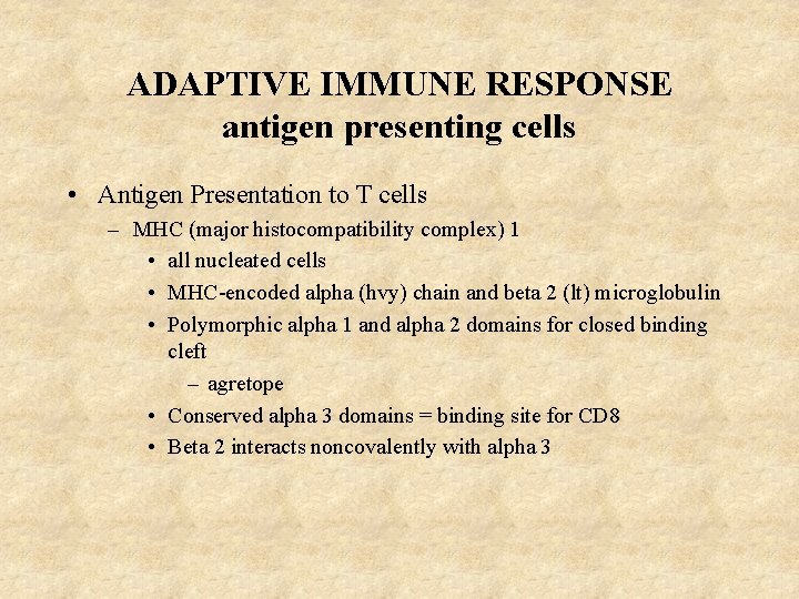 ADAPTIVE IMMUNE RESPONSE antigen presenting cells • Antigen Presentation to T cells – MHC