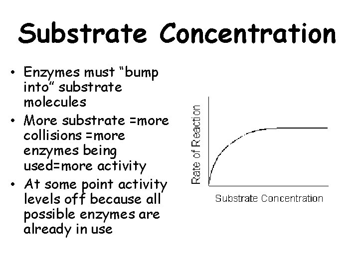 Substrate Concentration • Enzymes must “bump into” substrate molecules • More substrate =more collisions