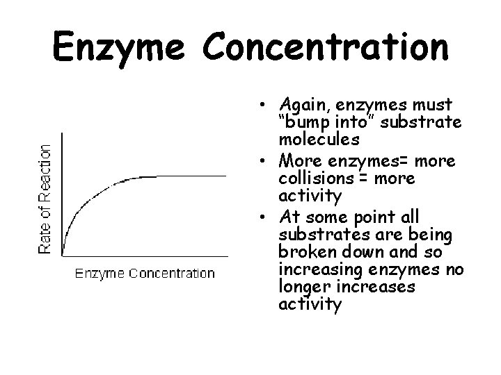 Enzyme Concentration • Again, enzymes must “bump into” substrate molecules • More enzymes= more
