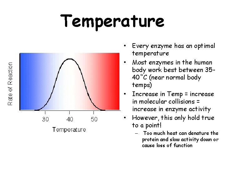 Temperature • Every enzyme has an optimal temperature • Most enzymes in the human