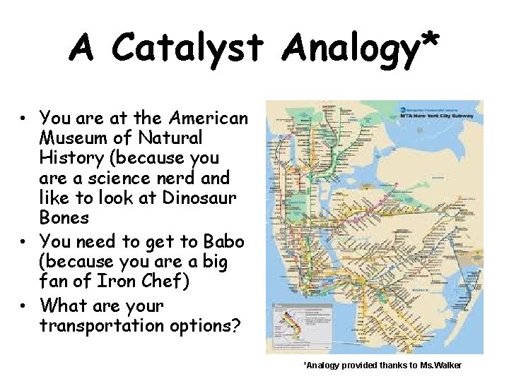 A Catalyst Analogy* • You are at the American Museum of Natural History (because