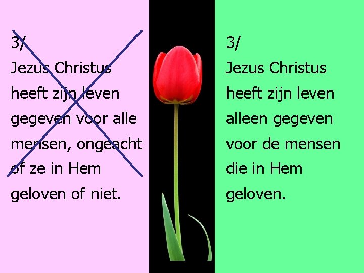 3/ 3/ Jezus Christus heeft zijn leven gegeven voor alleen gegeven mensen, ongeacht voor