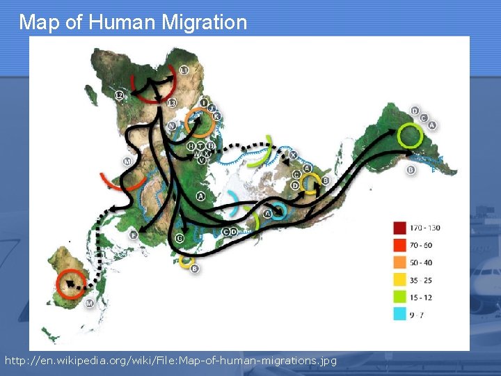 Map of Human Migration http: //en. wikipedia. org/wiki/File: Map-of-human-migrations. jpg 