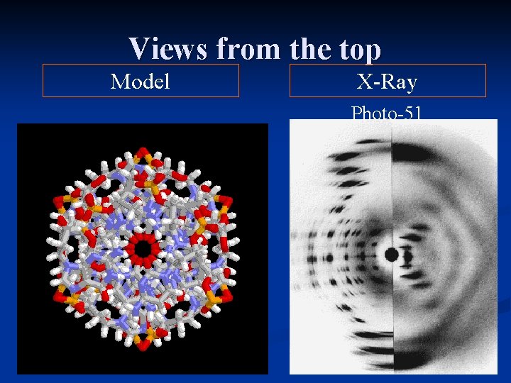 Views from the top Model X-Ray Photo-51 