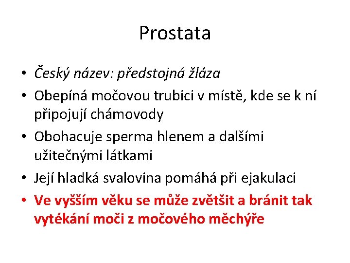 Prostata • Český název: předstojná žláza • Obepíná močovou trubici v místě, kde se