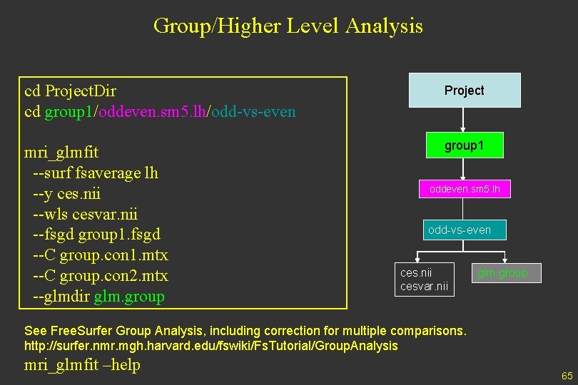 Group/Higher Level Analysis cd Project. Dir cd group 1/oddeven. sm 5. lh/odd-vs-even Project mri_glmfit