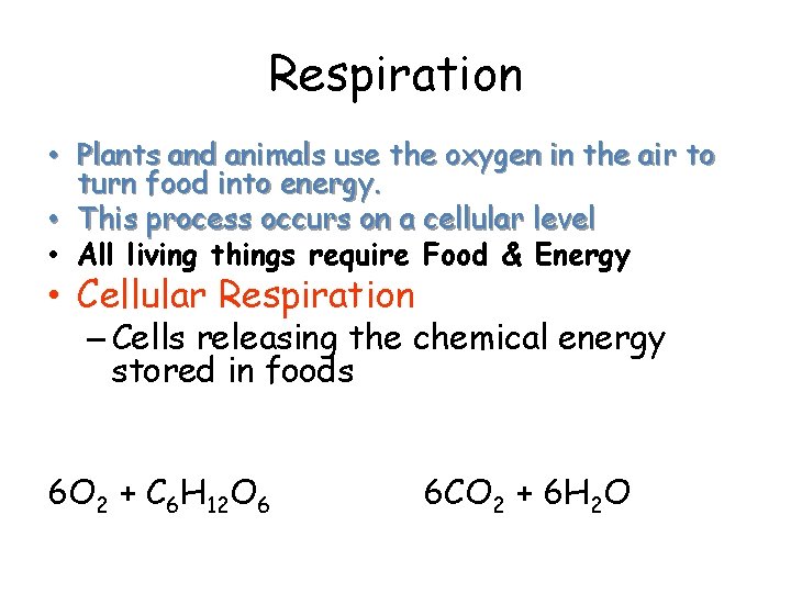 Respiration • Plants and animals use the oxygen in the air to turn food