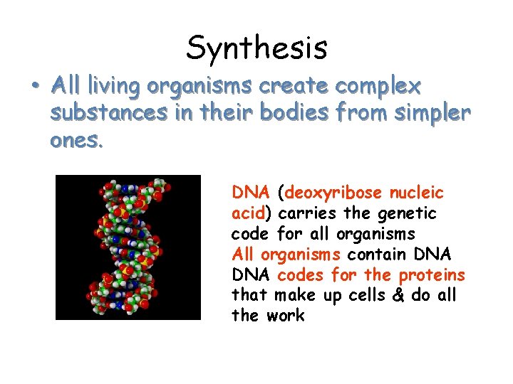Synthesis • All living organisms create complex substances in their bodies from simpler ones.
