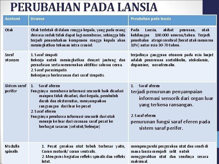 PERUBAHAN PADA LANSIA Anatomi Dewasa Perubahan pada lansia Otak terletak di dalam rongga kepala,