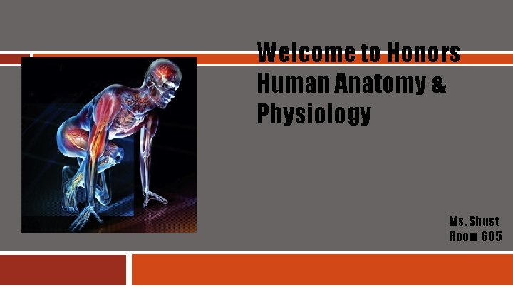 Welcome to Honors Human Anatomy & Physiology Ms. Shust Room 605 