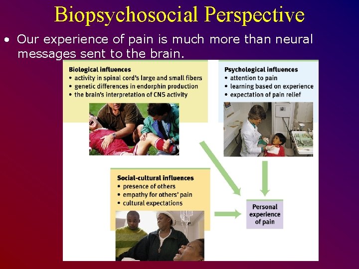 Biopsychosocial Perspective • Our experience of pain is much more than neural messages sent