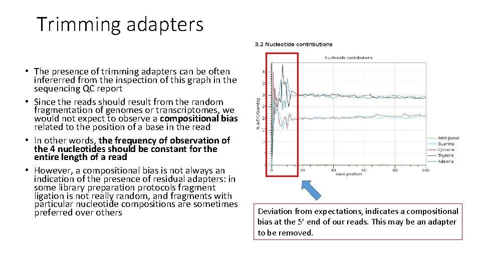 Trimming adapters • The presence of trimming adapters can be often infererred from the