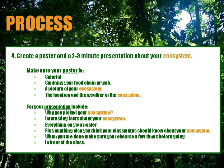 PROCESS 4. Create a poster and a 2 -3 minute presentation about your ecosystem.