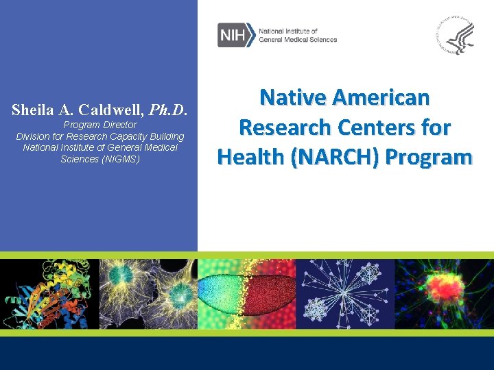 Sheila A. Caldwell, Ph. D. Program Director Division for Research Capacity Building National Institute