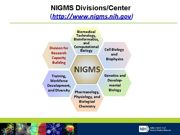 NIGMS Divisions/Center (http: //www. nigms. nih. gov) Division for Research Capacity Building Biomedical Technology,