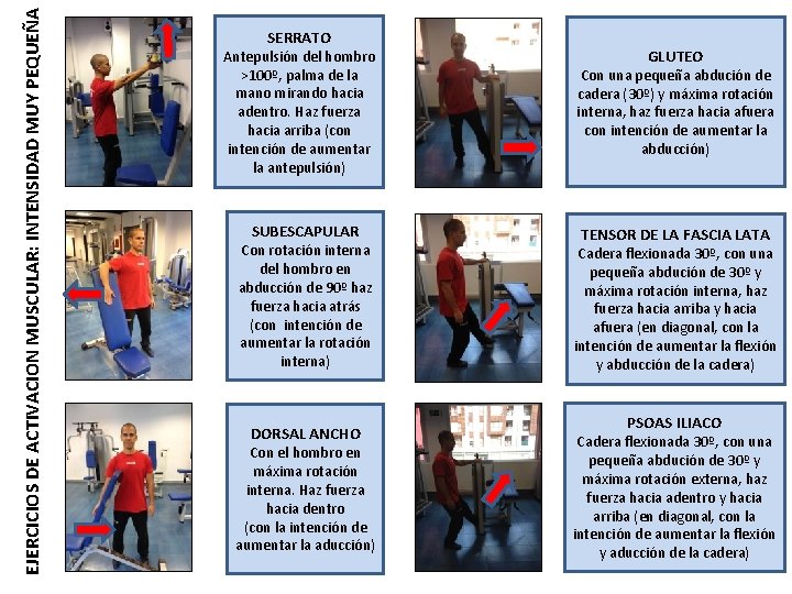 EJERCICIOS DE ACTIVACION MUSCULAR: INTENSIDAD MUY PEQUEÑA SERRATO Antepulsión del hombro >100º, palma de