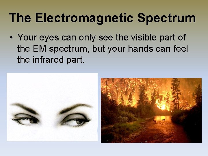 The Electromagnetic Spectrum • Your eyes can only see the visible part of the