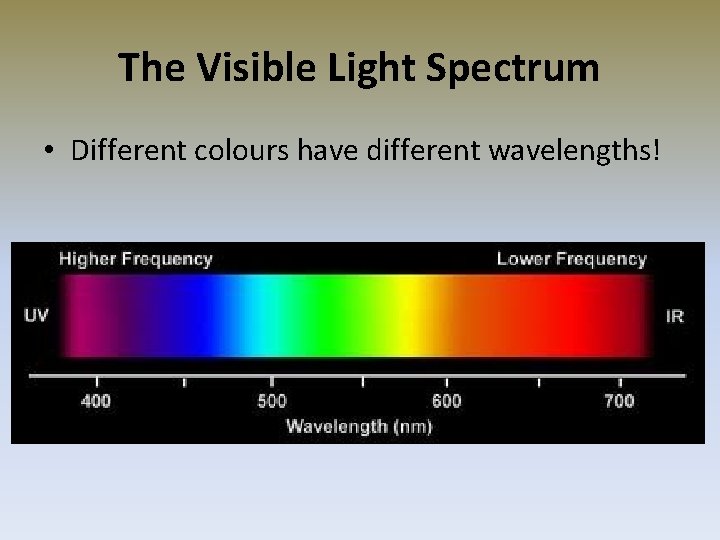 The Visible Light Spectrum • Different colours have different wavelengths! 