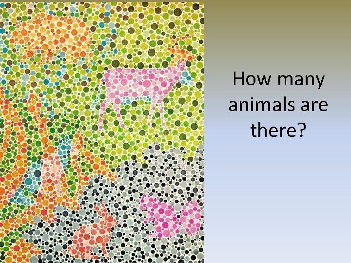 How many animals are there? 