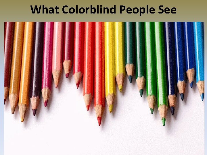 What Colorblind People See What Colorblind People See