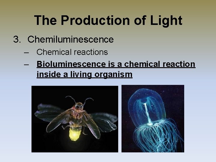 The Production of Light 3. Chemiluminescence – Chemical reactions – Bioluminescence is a chemical The Production of Light 3. Chemiluminescence – Chemical reactions – Bioluminescence is a chemical