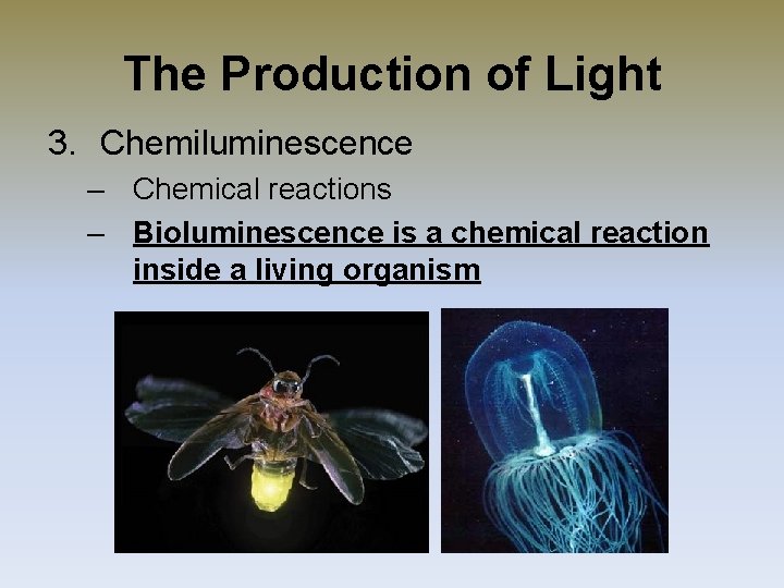 The Production of Light 3. Chemiluminescence – Chemical reactions – Bioluminescence is a chemical