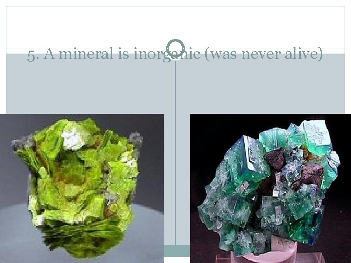 5. A mineral is inorganic (was never alive) 