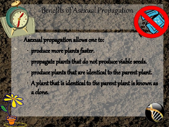 Benefits of Asexual Propagation – Asexual propagation allows one to: • produce more plants