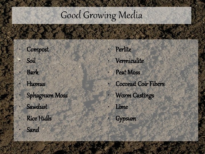 Good Growing Media • • Compost Soil Bark Humus Sphagnum Moss Sawdust Rice Hulls