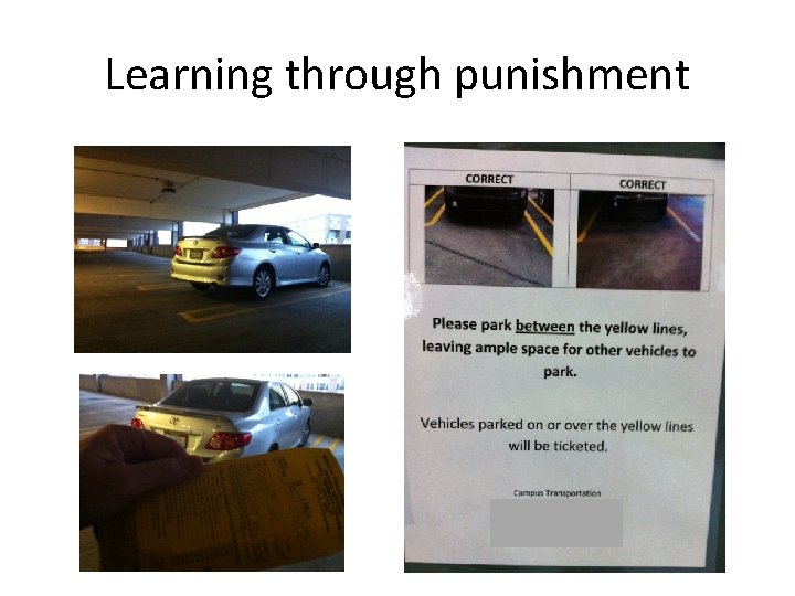 Learning through punishment 