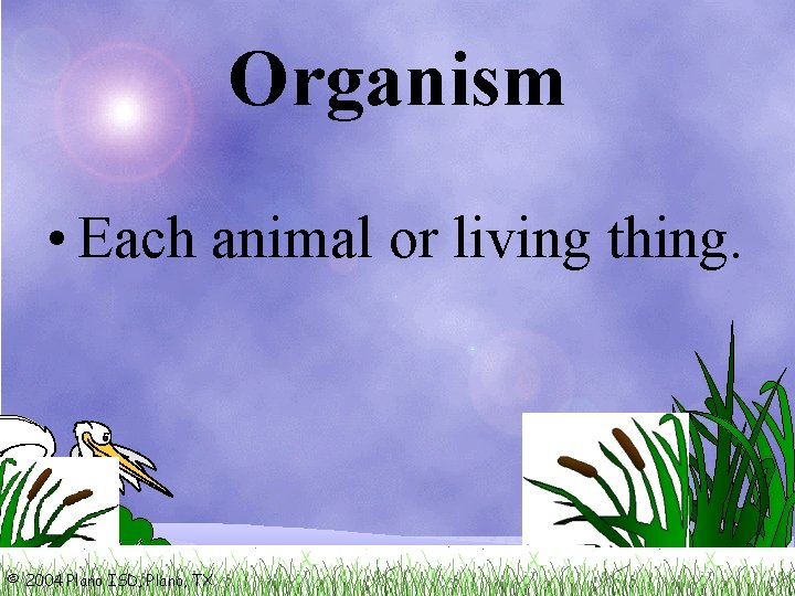 Organism • Each animal or living thing. © 2004 Plano ISD, Plano, TX 