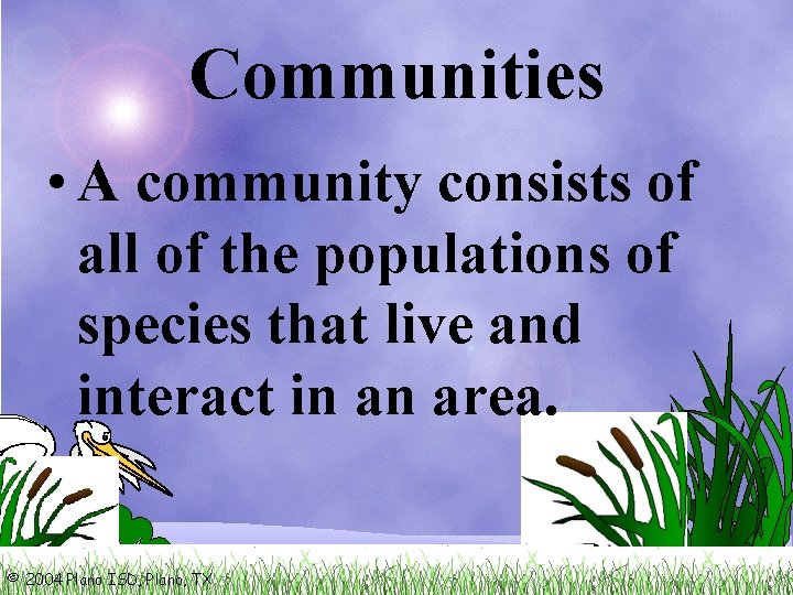 Communities • A community consists of all of the populations of species that live