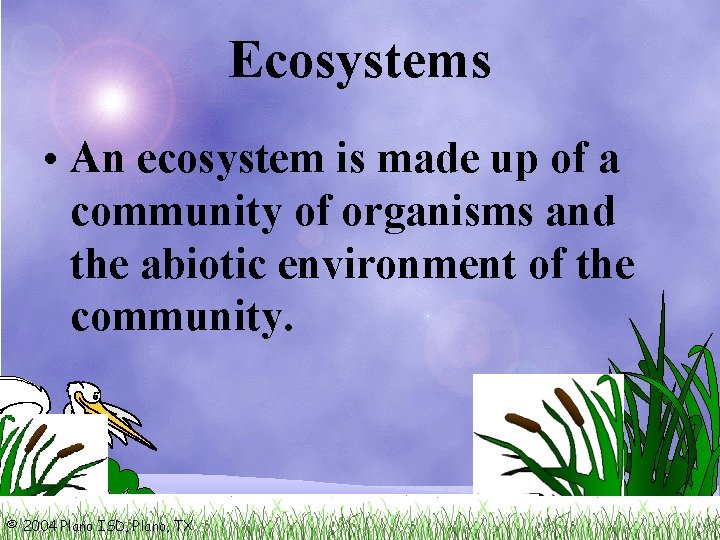 Ecosystems • An ecosystem is made up of a community of organisms and the