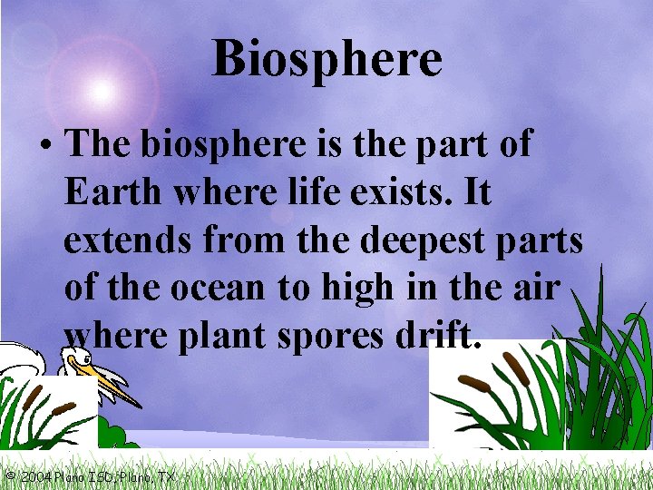 Biosphere • The biosphere is the part of Earth where life exists. It extends