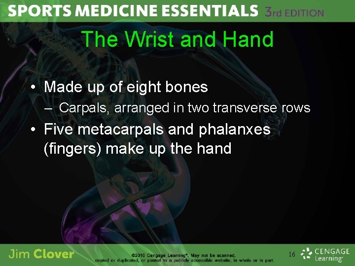 The Wrist and Hand • Made up of eight bones – Carpals, arranged in