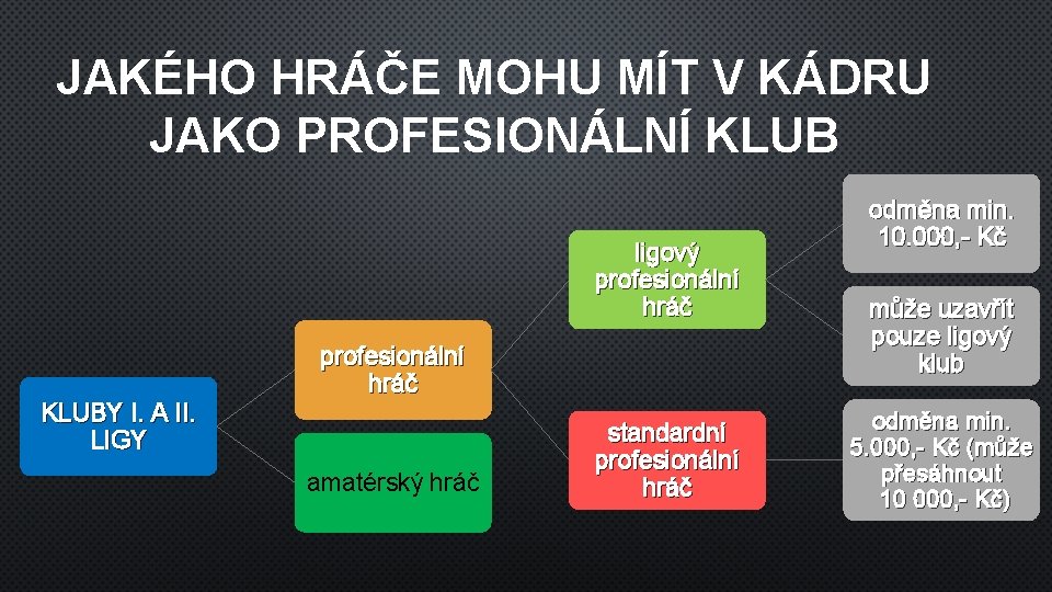 JAKÉHO HRÁČE MOHU MÍT V KÁDRU JAKO PROFESIONÁLNÍ KLUB ligový profesionální hráč KLUBY I.