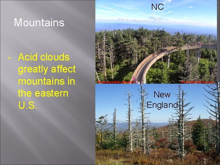 NC Mountains • Acid clouds greatly affect mountains in the eastern U. S. New
